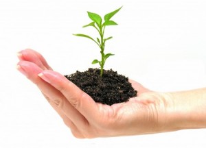 life coaching | Angelo Bonacci life coaching | Angelo Bonacci