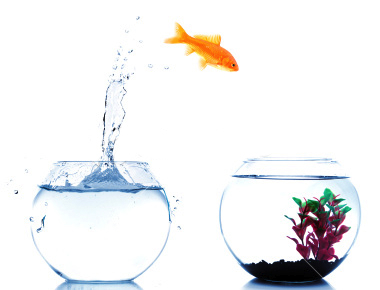 Leader Coach | Prometeo Coaching