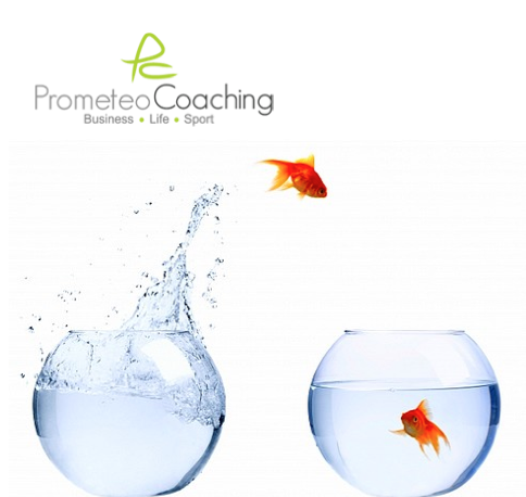 Risorse Umane | Prometeo Coaching