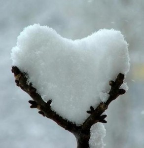 neve