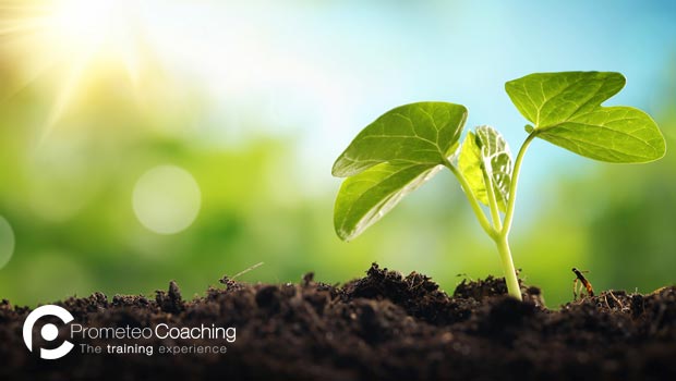Motivazione e Resilienza | Prometeo Coaching