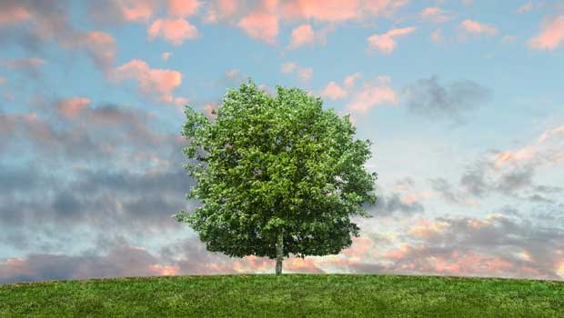 Trucchi e segreti del Coaching: quali sono le tue potenzialità?