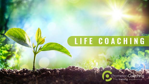 Prova il Life Coaching
