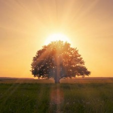Inno alla vita: vivi come un’alba!