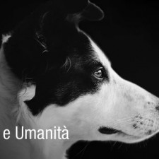 Virtù: Amore e Umanità