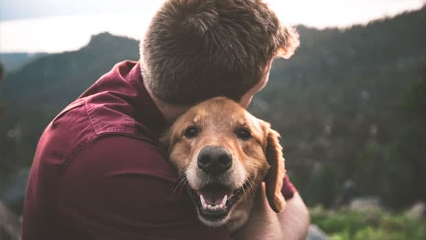 potenzialità gratitudine